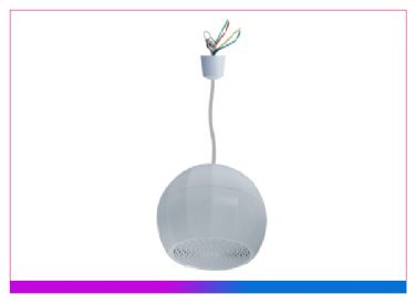 吊球揚(yáng)聲器 （10W）