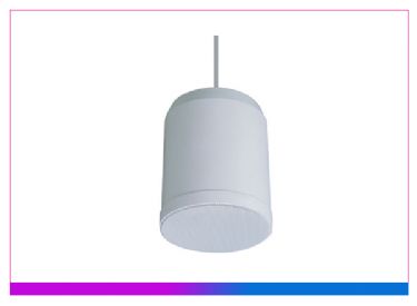 防水吊球揚(yáng)聲器 （10W）